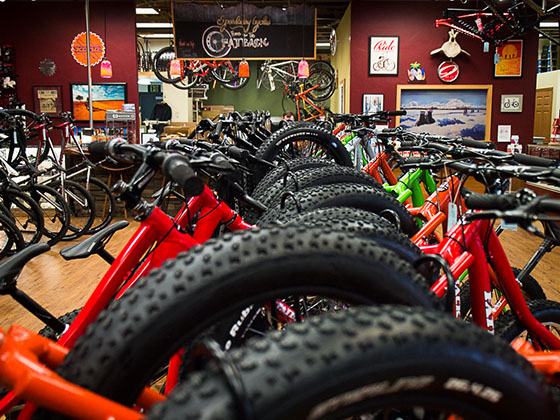 Fat bike store new arrivals